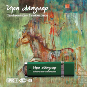 Ира Маулер. 12 альбомов песен + 3 альбома стихов